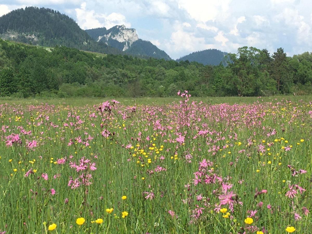 Hotel Penzion Roal Pieniny Spisska Stara Ves Exterior foto