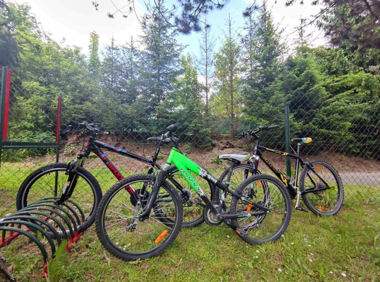 Hotel Penzion Roal Pieniny Spisska Stara Ves Exterior foto