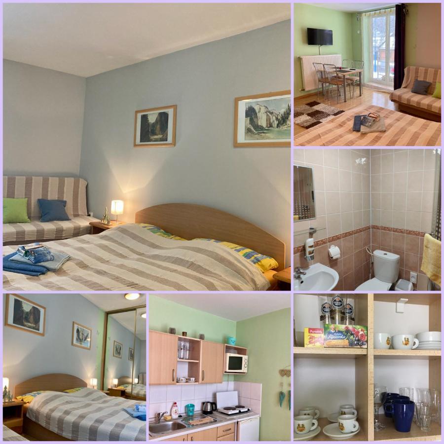 Hotel Penzion Roal Pieniny Spisska Stara Ves Zimmer foto