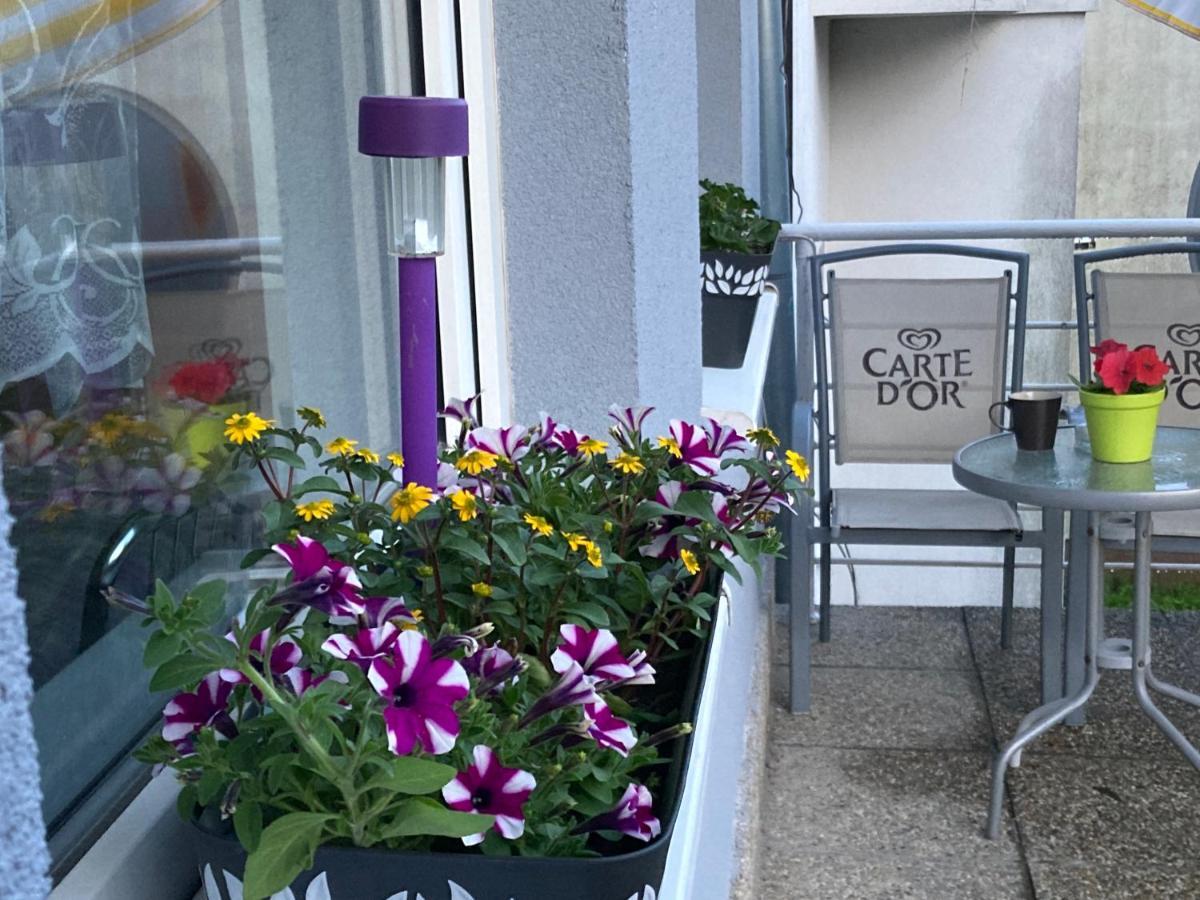 Hotel Penzion Roal Pieniny Spisska Stara Ves Exterior foto