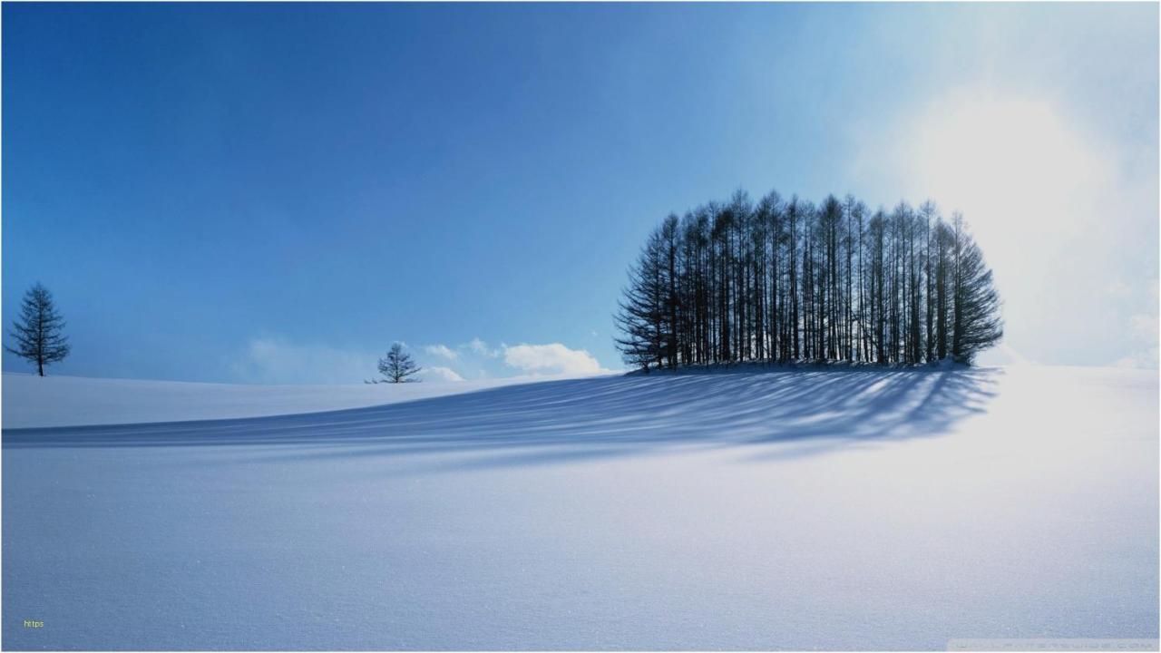 Hotel Penzion Roal Pieniny Spisska Stara Ves Exterior foto