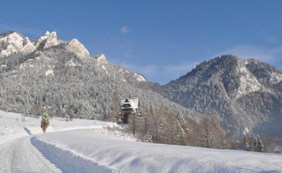 Hotel Penzion Roal Pieniny Spisska Stara Ves Exterior foto