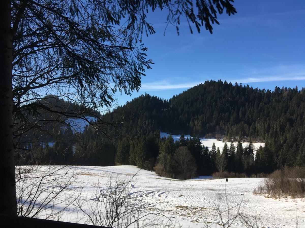 Hotel Penzion Roal Pieniny Spisska Stara Ves Exterior foto